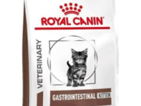 Royal Canin Gastro